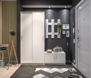 Шкаф-купе 2-х дверный Терра СБ-2545