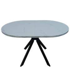 Стол обеденный Васанти-1 120*80