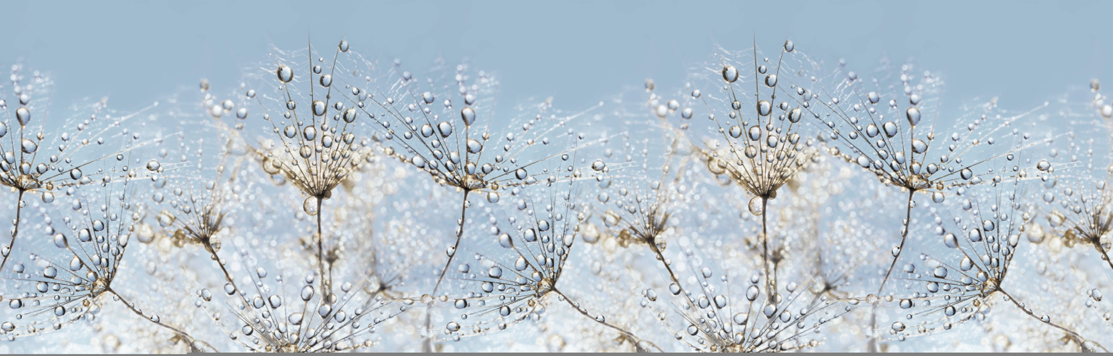 Стеновые панели из АБС-пластика, Кухонный фартук Утренняя роса 2000x600x1.5 мм глянец