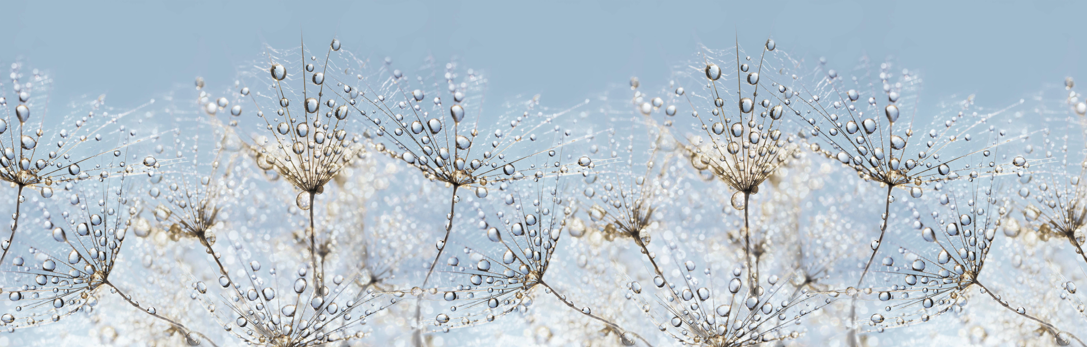 Стеновые панели из АБС-пластика, Кухонный фартук Утренняя роса 3000x600x1.5 мм глянец