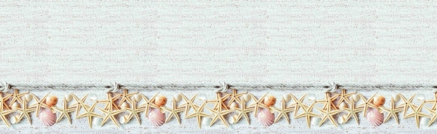 Кухонный фартук Ракушки 2000x600x1.5 мм глянец