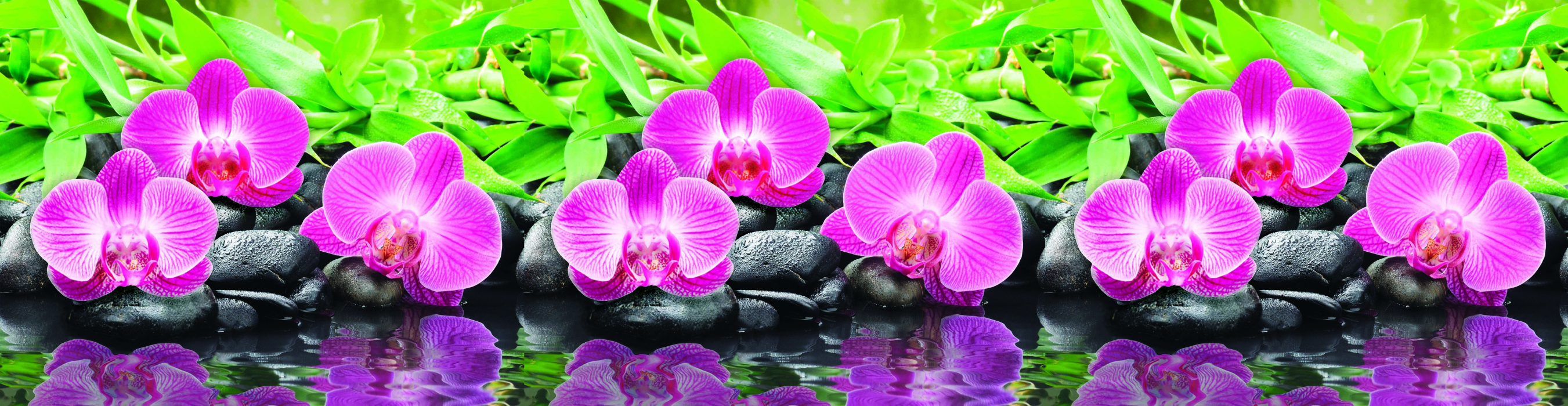 Стеновые панели из АБС-пластика, Кухонный фартук Орхидеи 3000x600x1.5 мм глянец