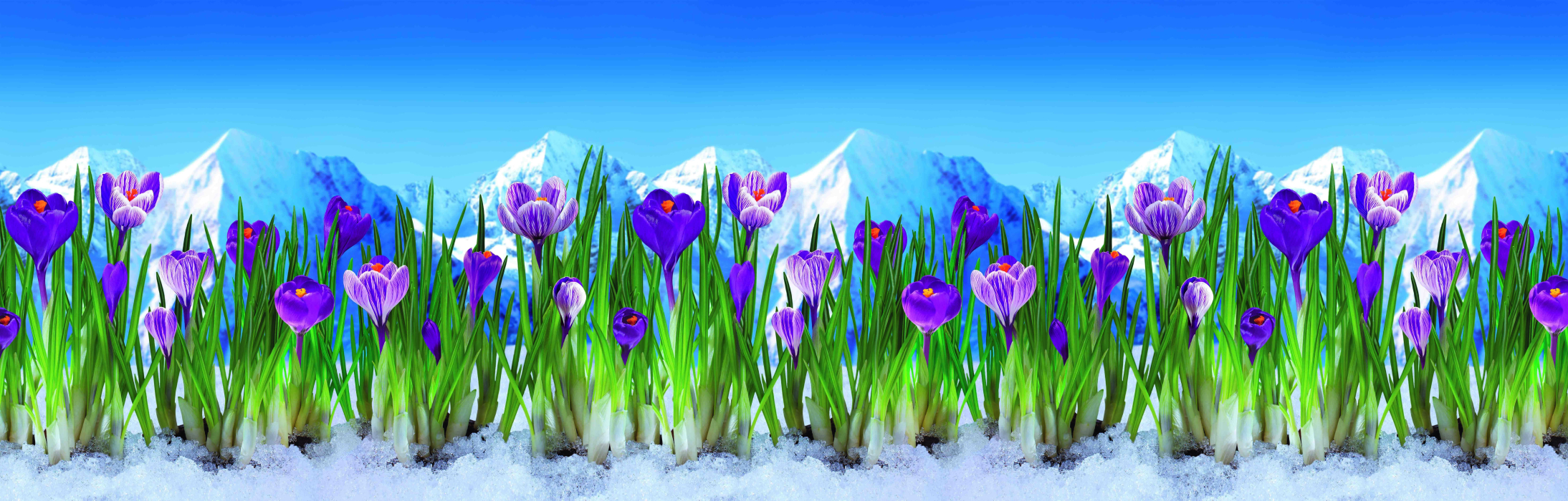 Стеновые панели из АБС-пластика, Кухонный фартук Шафран 3000x600x1.5 мм глянец