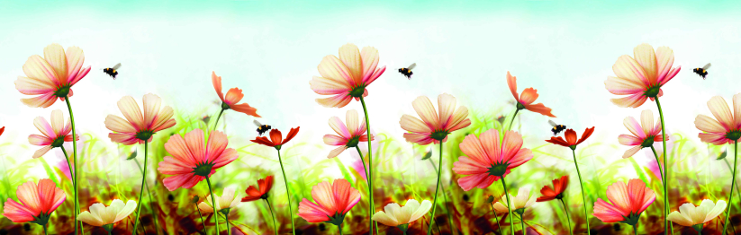 Кухонный фартук Пчелки 2000x600x1.5 мм глянец