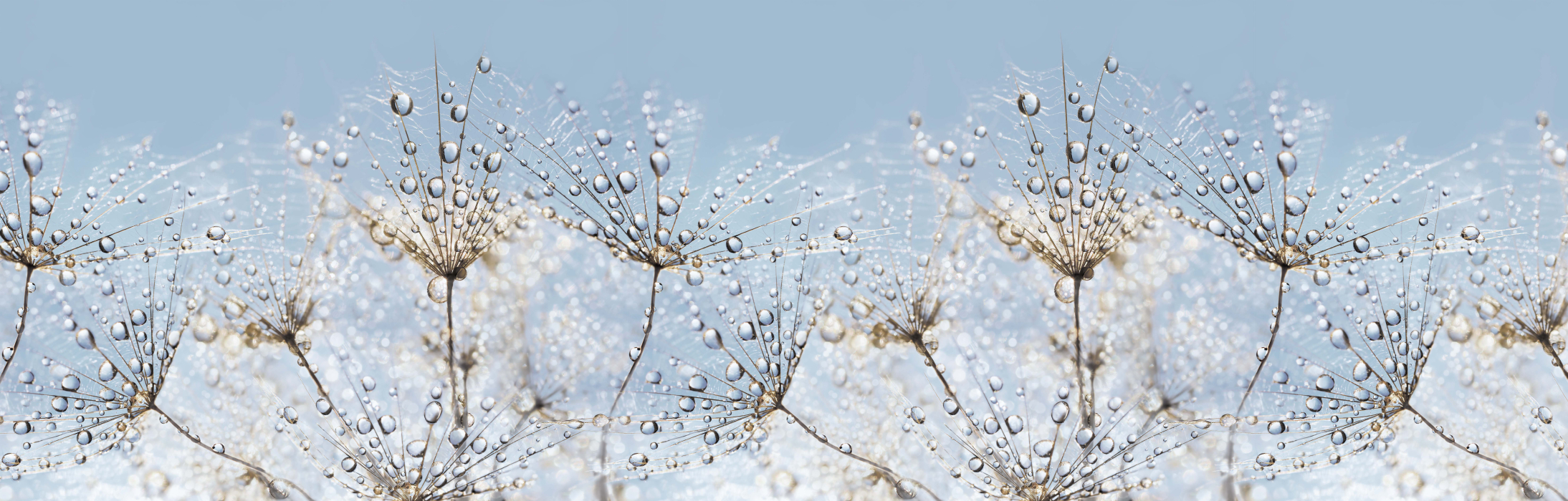 Стеновые панели из АБС-пластика, Кухонный фартук Утренняя роса 1000x600x1.5 мм глянец