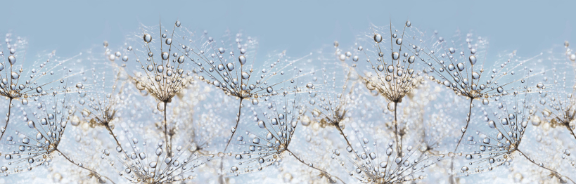 Кухонный фартук Утренняя роса 1000x600x1.5 мм глянец